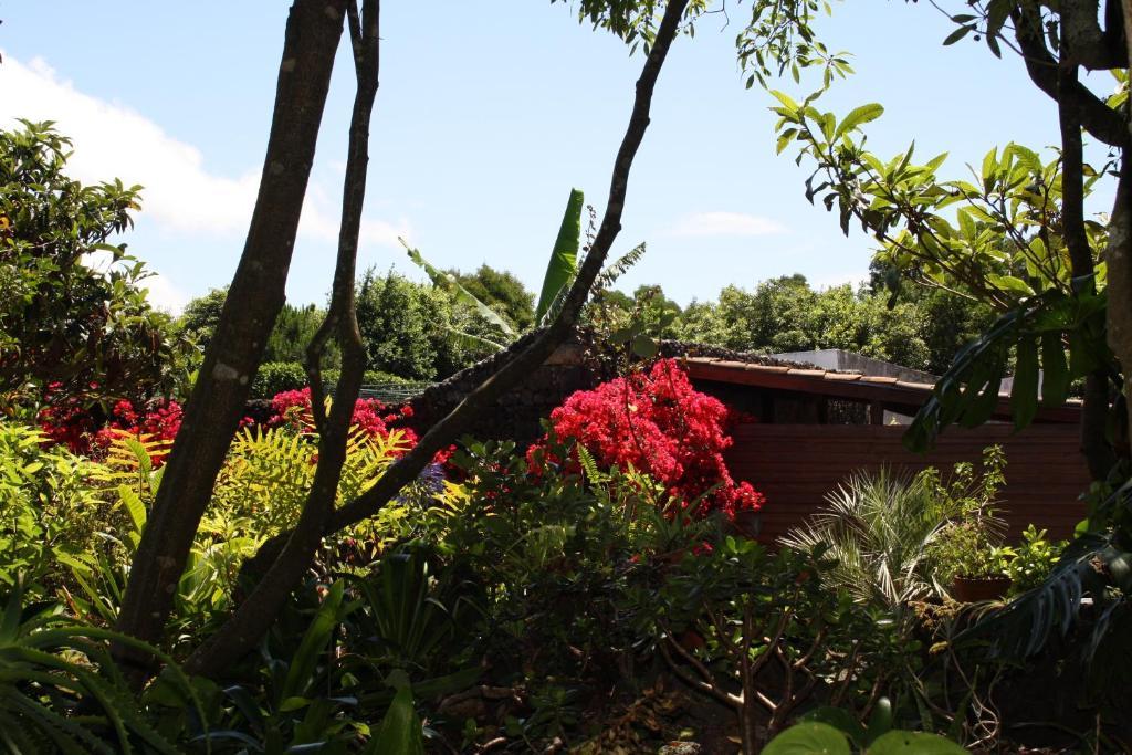 Quinta De Sao Caetano - Sao Miguel Acores Populo  エクステリア 写真