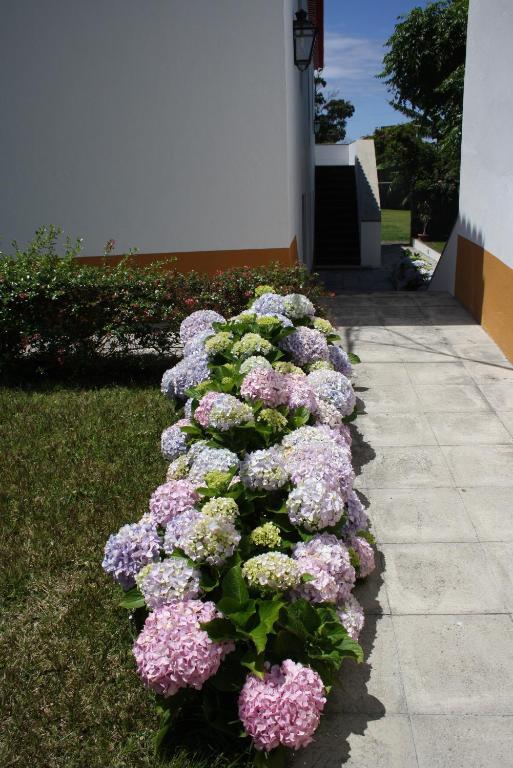 Quinta De Sao Caetano - Sao Miguel Acores Populo  部屋 写真